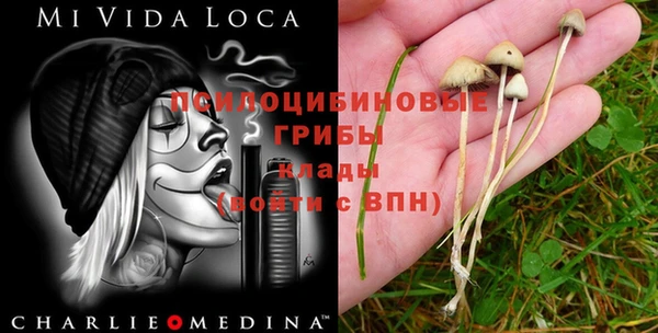 COCAINE Заводоуковск