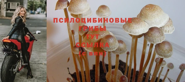 крисы Заволжье