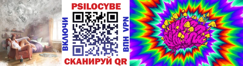 гидра маркетплейс  Каменка  Псилоцибиновые грибы Cubensis 