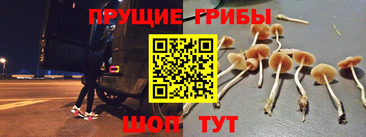 Галлюциногенные грибы мухоморы  Псилоцибиновые грибы прущие грибы  купить наркотик  Вход с VPN  Каменка 