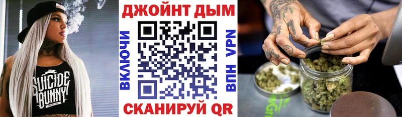 купить наркотик  Каменка  Каннабис сатива 
